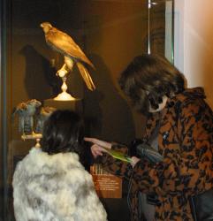 [Château de Lacroix-Laval : exposition "La nature dans tous ses états"]