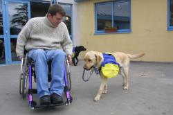 [Association Anecah : chiens d'assistance pour handicapés, à Marcy-l'Etoile]