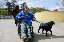 [Association Anecah : chiens d'assistance pour handicapés, à Marcy-l'Etoile]