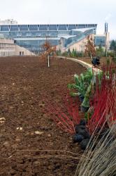 [Jardin de l'Ecole normale supérieure de Lyon (site Descartes)]