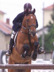 [Jumping international de Bourg-en-Bresse]