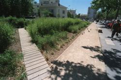 [Jardins de proximité à Lyon : la promenade Bullukian]