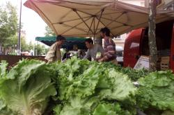 [Le marché biologique de la Croix-Rousse]