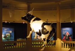 [Museum d'histoire naturelle de Lyon : exposition-dossier sur "La vache folle", 2000]