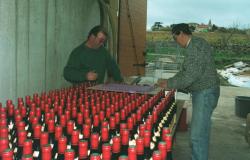 [Mise en bouteilles du Beaujolais nouveau, cuvée 1999]