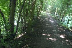 [Sentiers de promenade en bord de Saône dans le Beaujolais]