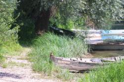 [Sentiers de promenade en bord de Saône dans le Beaujolais]