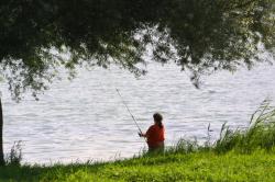 [Sentiers de promenade en bord de Saône dans le Beaujolais]