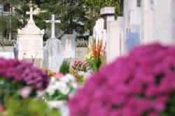 [Le Cimetière de la Croix-Rousse]