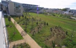 [Le jardin de l'Ecole normale supérieure (ENS)]