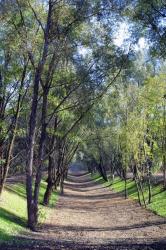 [Le Parc de la Feyssine à Villeurbanne]