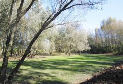 [Le Parc de la Feyssine à Villeurbanne]