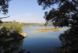 [Le Parc de la Feyssine à Villeurbanne]