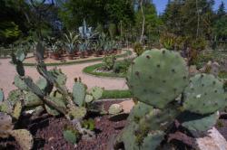 [Les grandes serres et le jardin botanique du Parc de la Tête-d'Or]