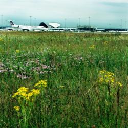 [Les pistes de l'aéroport Saint-Exupéry]