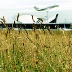 [Les pistes de l'aéroport Saint-Exupéry]