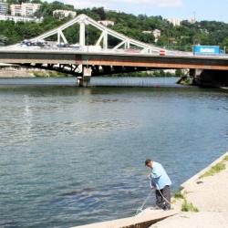 [Le pont de la Mulatière]