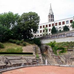 [Le Jardin des plantes et l'amphithéâtre des Trois Gaules]