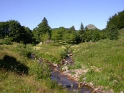 La Loire et le Mont Gerbier de Jonc