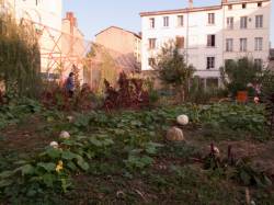 Le jardin nomade Brin d'Guill' : un jardin de quartier partagé