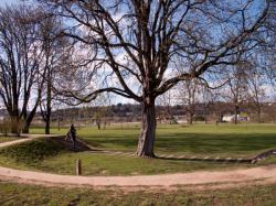 Le Parc de la Feyssine