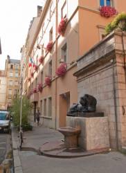 Un des deux lions de la Place Sathonay