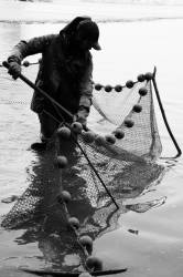 Pêche dans la Dombes 25/36 : Le pêcheur récupère le poisson...