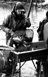Pêche dans la Dombes 26/36 : Le pêcheur vide son arvaux