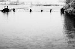 Pêche dans la Dombes 02/36 : Les pêcheurs mettent en place un deuxième filet...