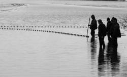 Pêche dans la Dombes 03/36 : Les pêcheurs tirent le filet à tour de rôle...