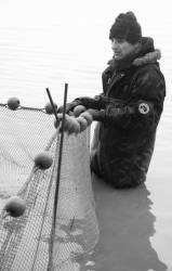 Pêche dans la Dombes 14/36 : Le pêcheur s'assure de la bonne tension du filet...