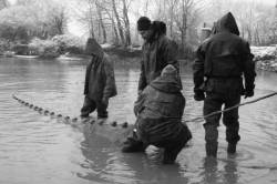 Pêche dans la Dombes 10/36 : Arrivés vers la digue (artificielle)...