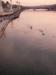 La Piscine du Rhône et le Pont de l'Université, vus depuis le Pont de la Guillotière