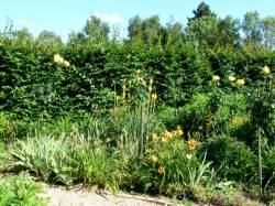 Les jardins du château de Saint-Bernard