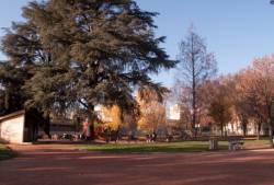 [Le parc des droits de l'Homme à Villeurbanne]