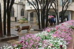 La place des Marais