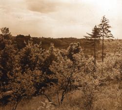 Saint-Rambert, chemin Vaudois