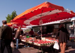 Etals de fruits, quai des Célestins