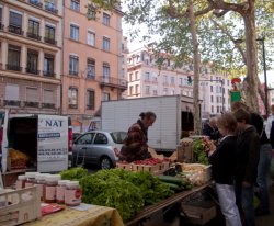 Un étal de légumes, quai Saint-Antoine