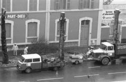 [La coupe des arbres devant l'ancienne gare de Lyon Part-Dieu]