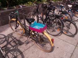 Un vélo avec un panier personnalisé rue Docteur Bouchut