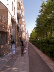 Le Parc du Centre et des immeubles en bordure