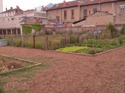 [Jardin éphémère rue Jean-Bourgey]