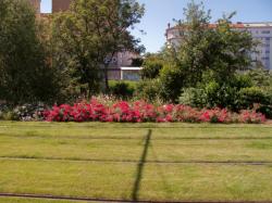 La Ligne de l'Est (T3) et un parterre de fleurs et vus depuis la rue Jean-Pierre Lévy