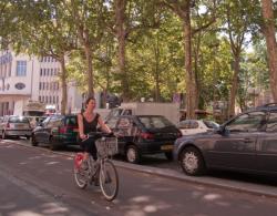 Rue de la Part-Dieu : piste cyclable et cyclistes