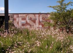 Rue Jean-Pierre Lévy : mur peint La Résistance le long de la ligne T6