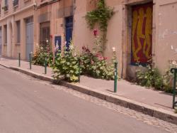 Des fleurs plantées dans le trottoir rue Chalopin