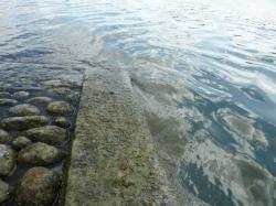 Voies d'accès à la Saône 09/10 : La rive s'enfonce dans la Saône