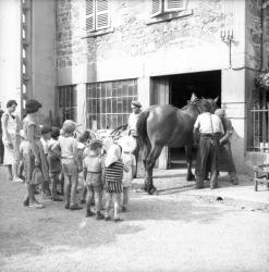 [Enfants d'une classe en visite chez le maréchal-ferrant]