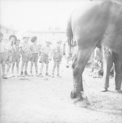 [Enfants d'une classe en visite chez le maréchal-ferrant]